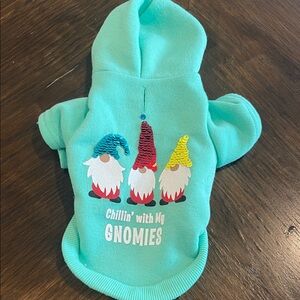 Teal Dog Hoodie with Gnome Design